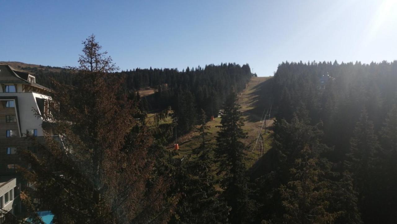 Woodside Apartments Kopaonik Buitenkant foto